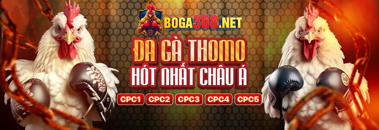 Trực tiếp đá gà Thomo đỉnh cao