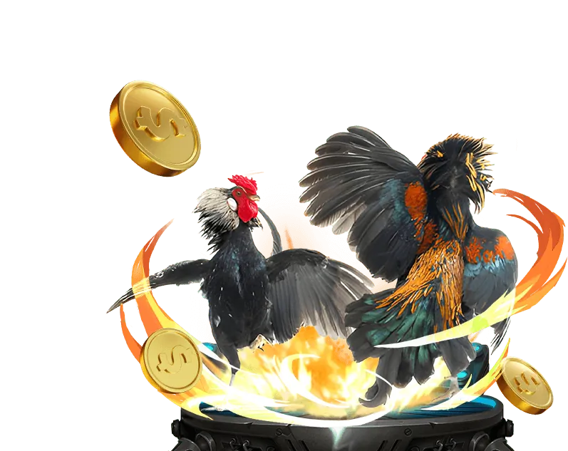 Hình ảnh hướng dẫn luật chơi đá gà Thomo