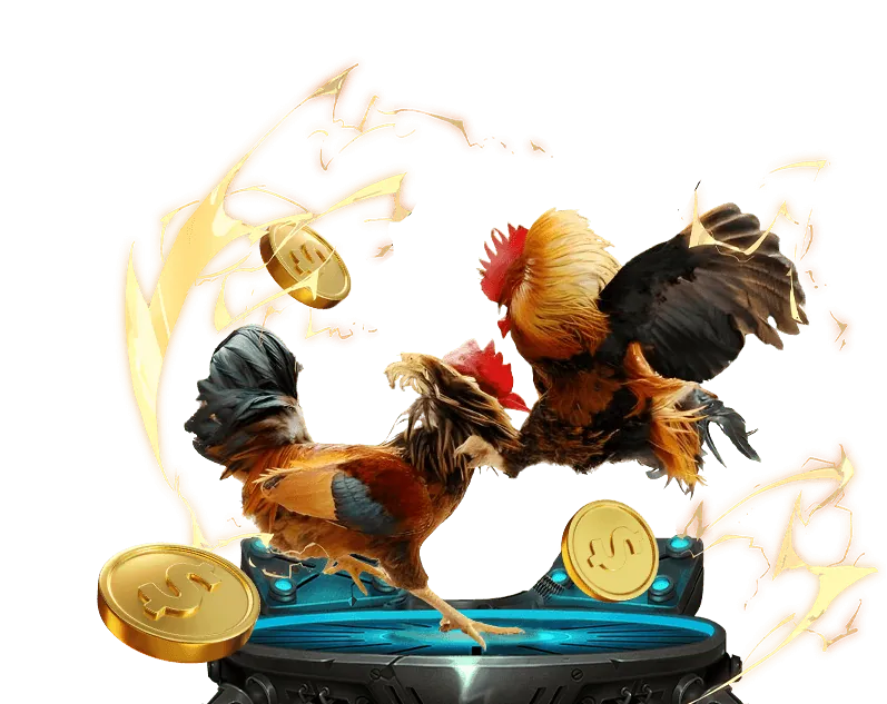 Hoàn Trả Hàng Ngày Đá Gà Mạng Thomo